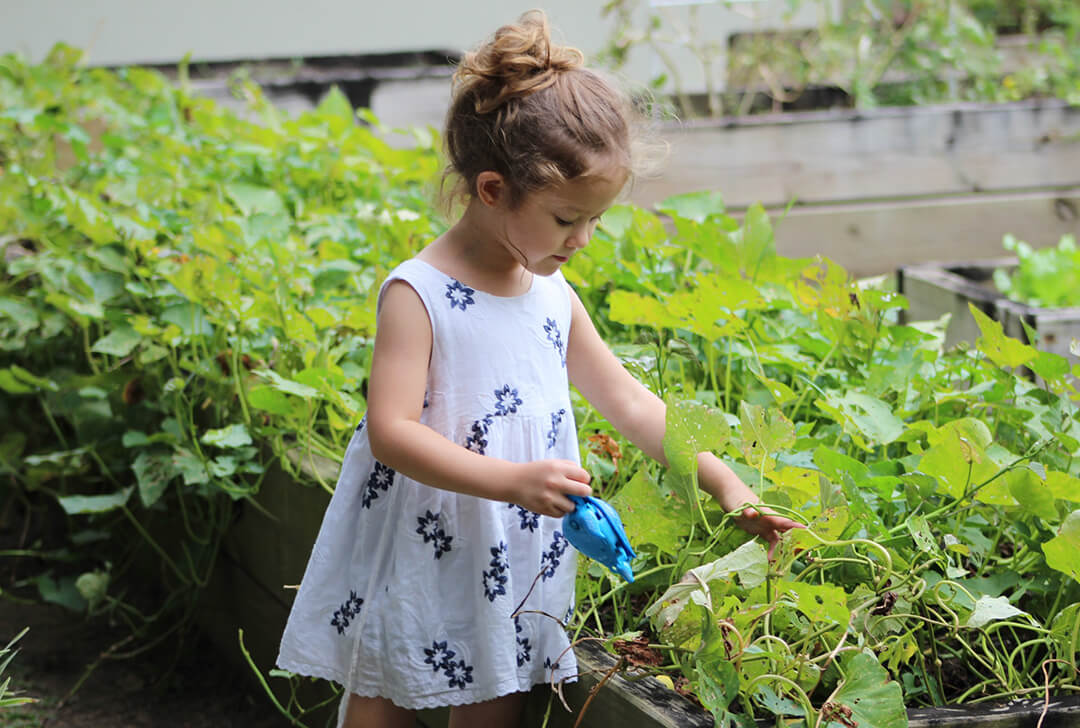 Családi útmutató – így kertészkedj a gyerekkel