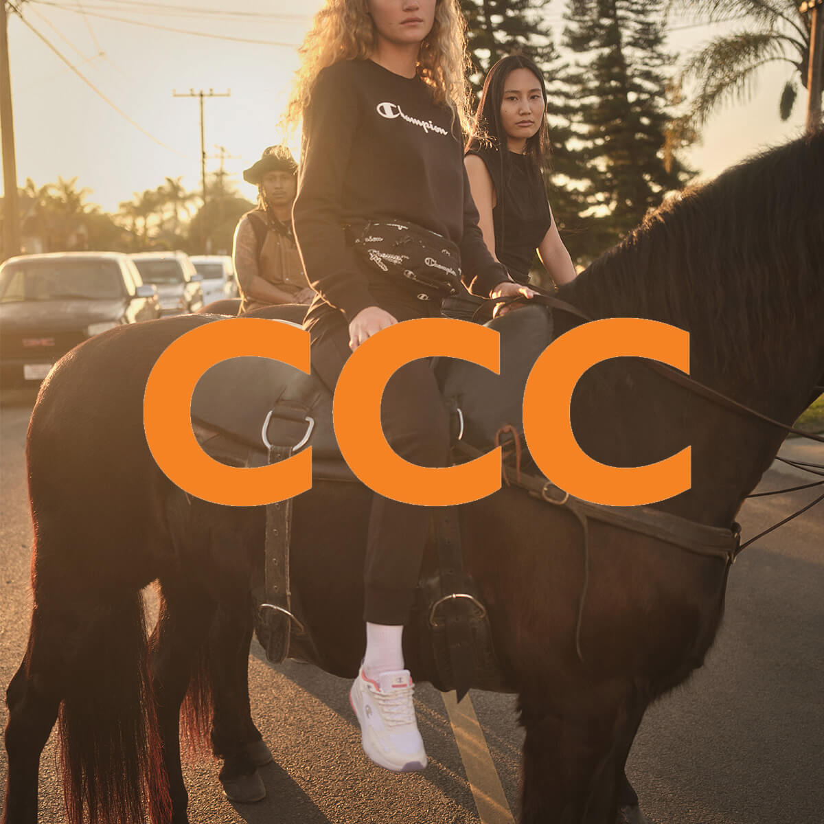 A kedvenc sportcipőid új kiadásai megérkeztek a CCC üzleteibe!